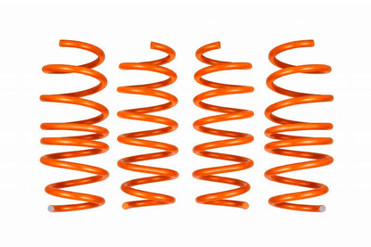 1" LOWERING SPRINGS - C8 CORVETTE