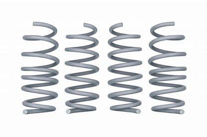 1" LOWERING SPRINGS - C8 CORVETTE