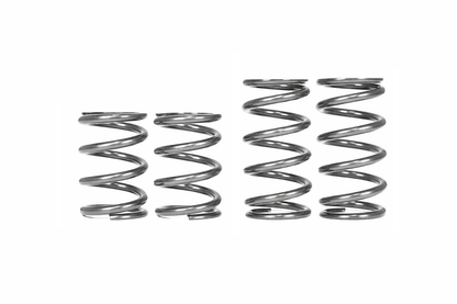 1" LOWERING SPRINGS - C8 Z06