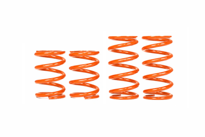 1" LOWERING SPRINGS - C8 Z06